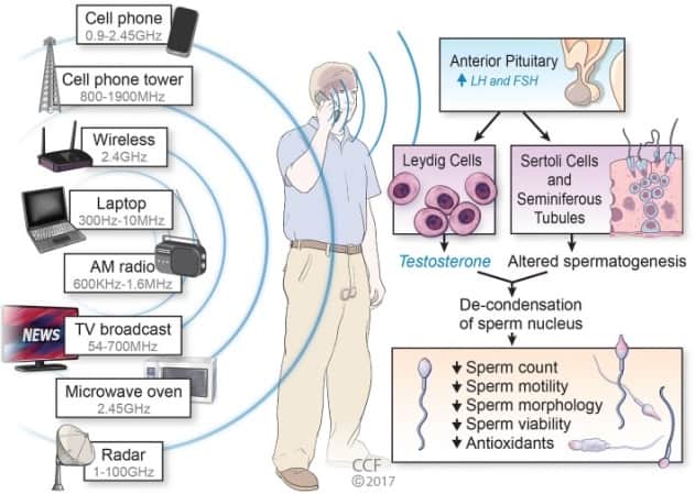 Electromagnetic radiation and infertility Global Health Clinics