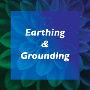 Earthing/Grounding