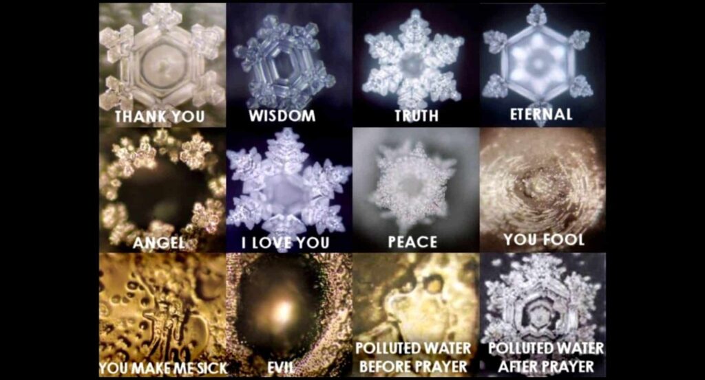 A collage of 12 microscopic images of water crystals influenced by words and intentions, based on the work of Masaru Emoto. The top two rows show beautifully formed crystals labeled with positive words such as “THANK YOU,” “WISDOM,” “TRUTH,” “ETERNAL,” “ANGEL,” “I LOVE YOU,” and “PEACE.” In contrast, the bottom row includes distorted or irregular crystal formations labeled with negative words or phrases like “YOU FOOL,” “YOU MAKE ME SICK,” “EVIL,” and “POLLUTED WATER BEFORE PRAYER.” The final image, “POLLUTED WATER AFTER PRAYER,” shows a more symmetrical, improved crystal structure, suggesting a restorative effect of positive intention or prayer on water.