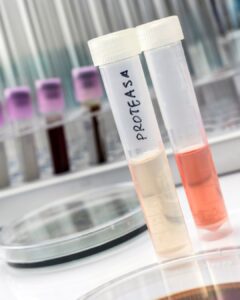 Protease enzyme research sample in a test tube – supporting hormone, stress, and metabolism health