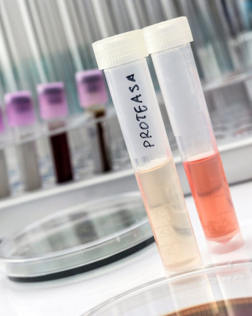 Protease enzyme research sample in a test tube – supporting hormone, stress, and metabolism health