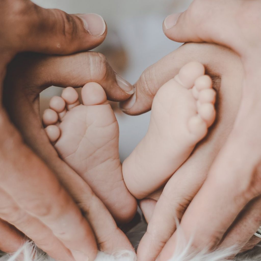 Untitled design (66)